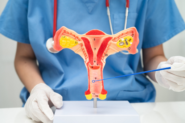 Gynecology
